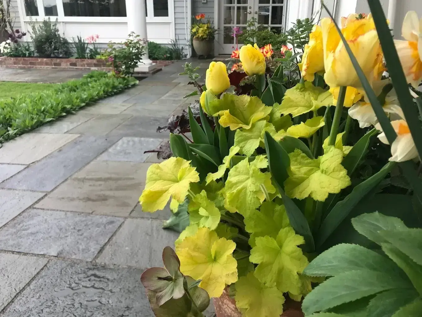 Front yard landscaping in SeaTac, WA - Adam Gorski Landscapes