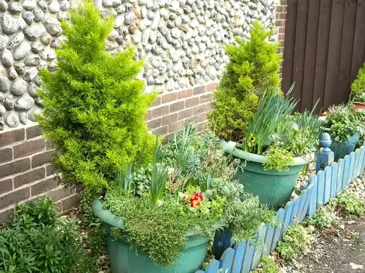 Adam Gorski Landscapes service area covering Maple Valley, WA and surrounding neighborhoods