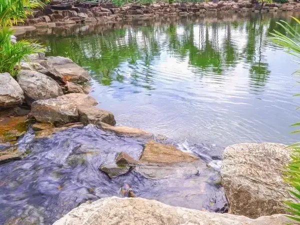 Adam Gorski Landscapes service area covering Maple Valley, WA and surrounding neighborhoods