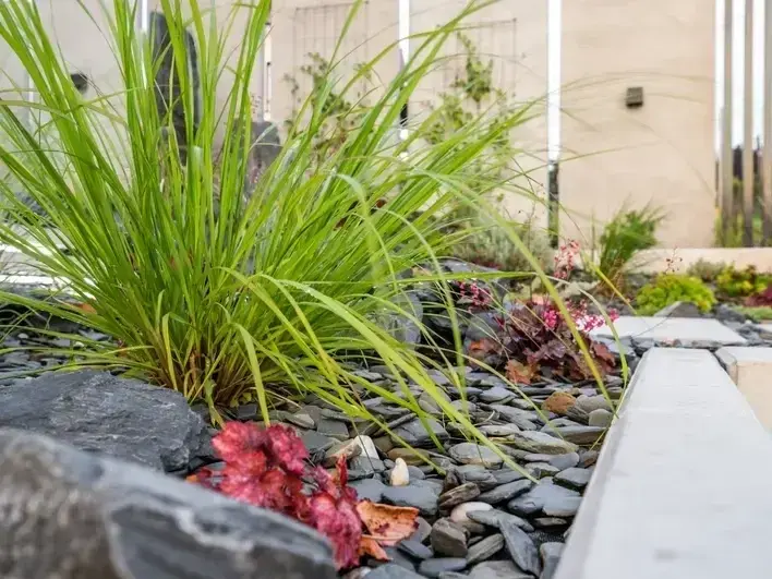 Backyard water feature and planting plan for a family property near Lake Sammamish State Park