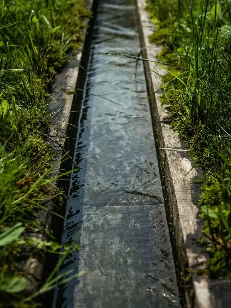 Professional Drainage Solutions services by Adam Gorski Landscapes in Maple Valley, WA &mdash; licensed scene Architect provider